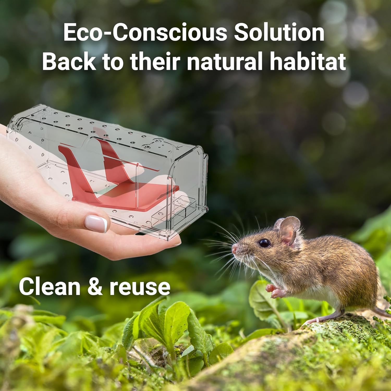 Thumbnail 4 de ROSHIELD Humane Mouse Traps 4-pack 🐭