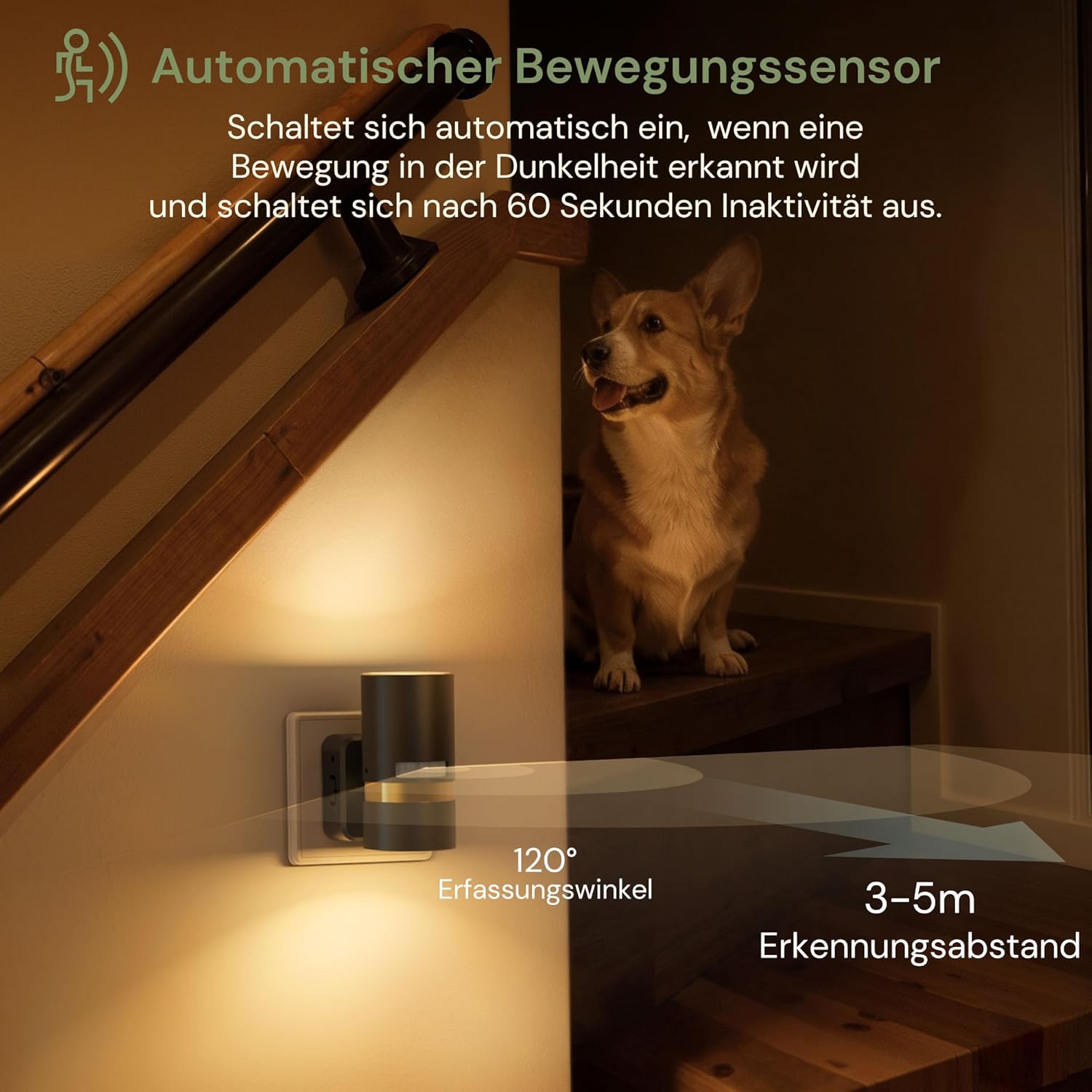 Thumbnail 3 de LOHAS-LED Nachtlicht mit Bewegungsmelder – 2er-Pack, dimmbares Warmweiß 3000K