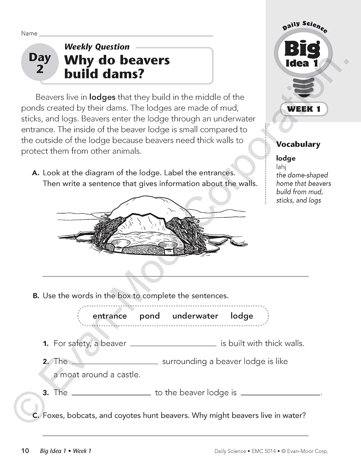 Thumbnail 6 de Evan-Moor Daily Science Grade 4 Workbook