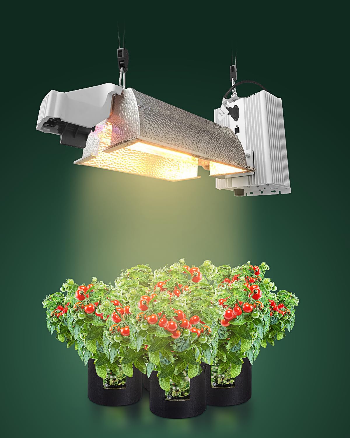 Thumbnail 6 de STAYGROW Rope Hanger 75 lb Capacity