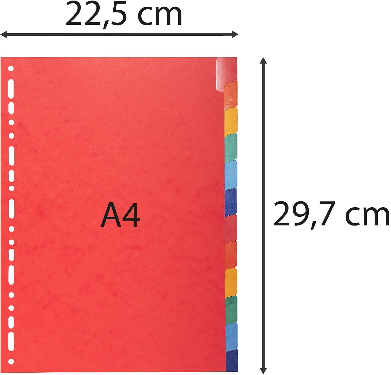 Thumbnail 5 de Exacompta 2212E – Intercalaires en carte lustrée 225 g/m² FSC, 12 onglets colorés et renforcés (A4)
