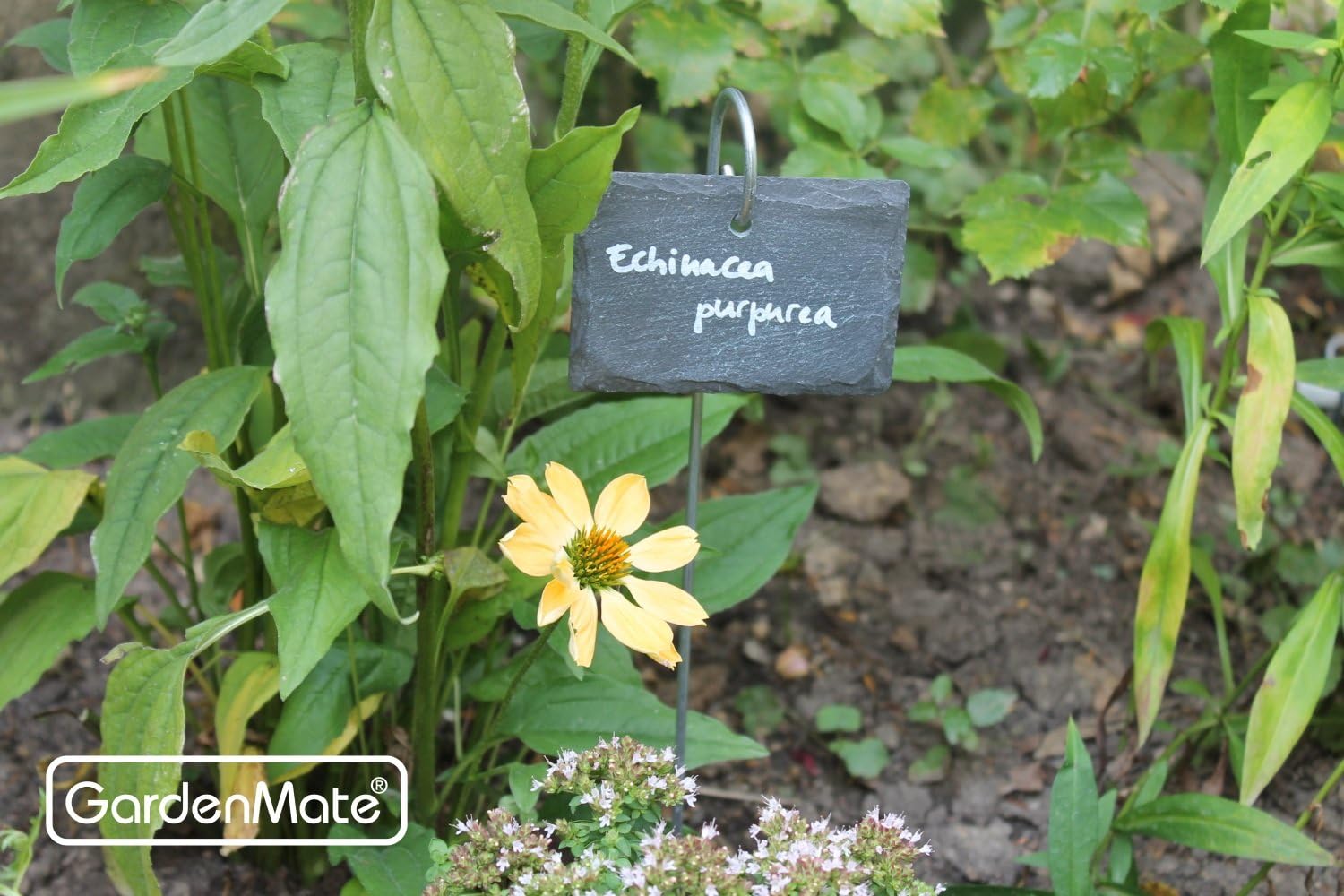 Detalle de GardenMate Set di 10 Etichette per Piante in Ardesia con Sbarre di Metallo – Stile Naturale