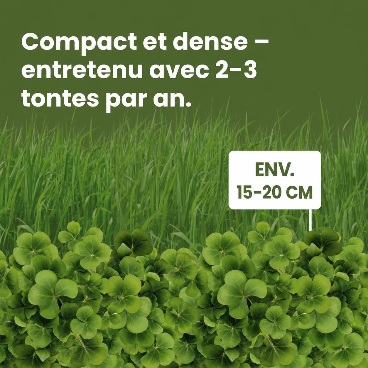 Detalle de LERAVA Trèfle blanc (50 m²) – Fixateur d’azote naturel pour pelouses et jardins