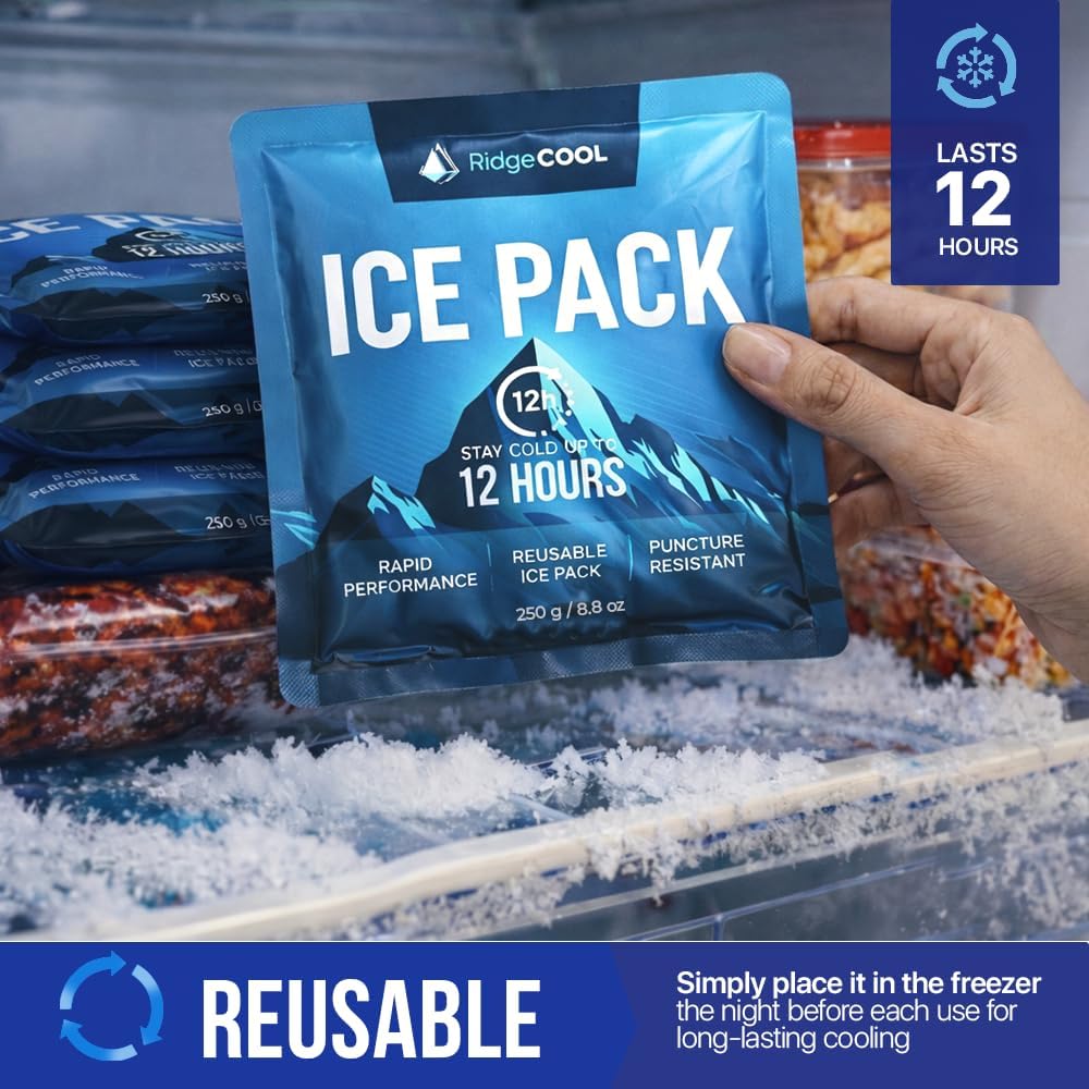 Thumbnail 1 de RIDGECOOL Large Reusable Ice Packs for Coolers, 4-Pack, Leakproof