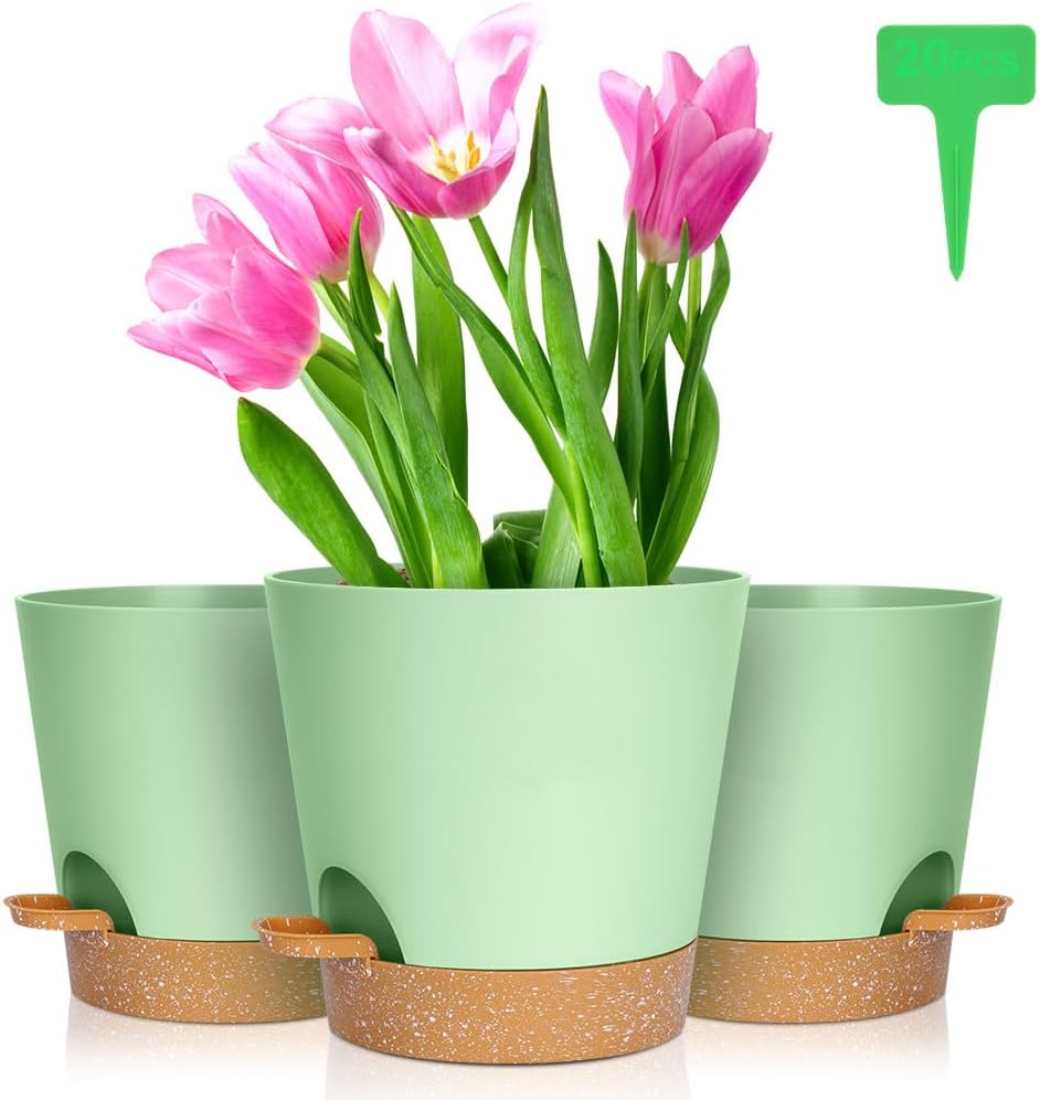 Detalle de OFFCUP Vasi Autoirriganti 16,5 cm 6 pezzi