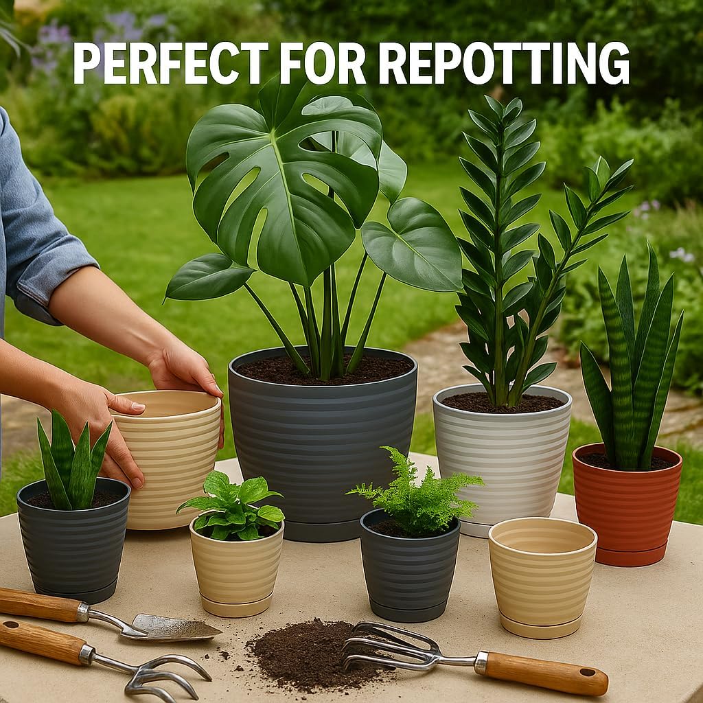 Thumbnail 6 de Home Garden Ornaments Wave Plant Pots Indoor – Taupe 19cm with Drainage and Integrated Saucer