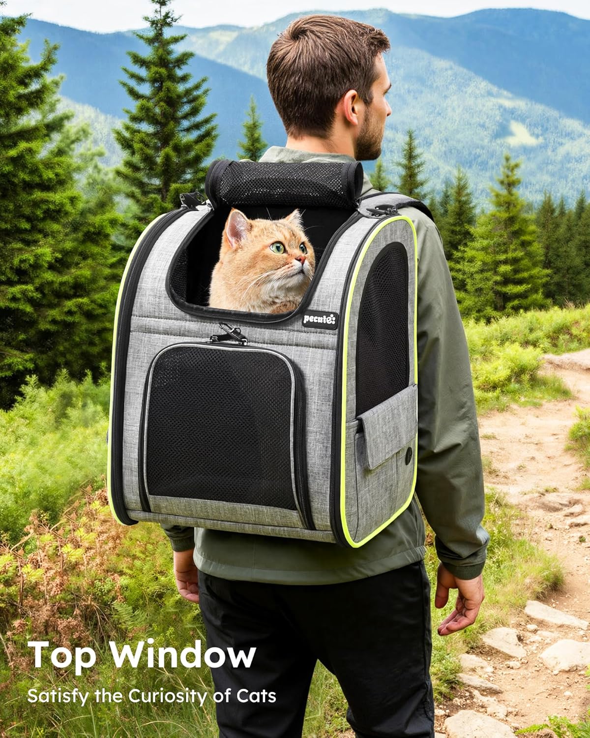 Thumbnail 3 de Pecute Sac Transport Chat Extensible Gris