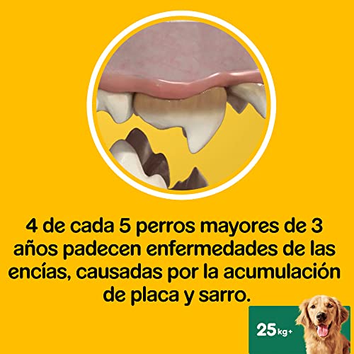 Detalle 2 de Pedigree Dentastix Fresh Snack para perros grandes, 10 paquetes