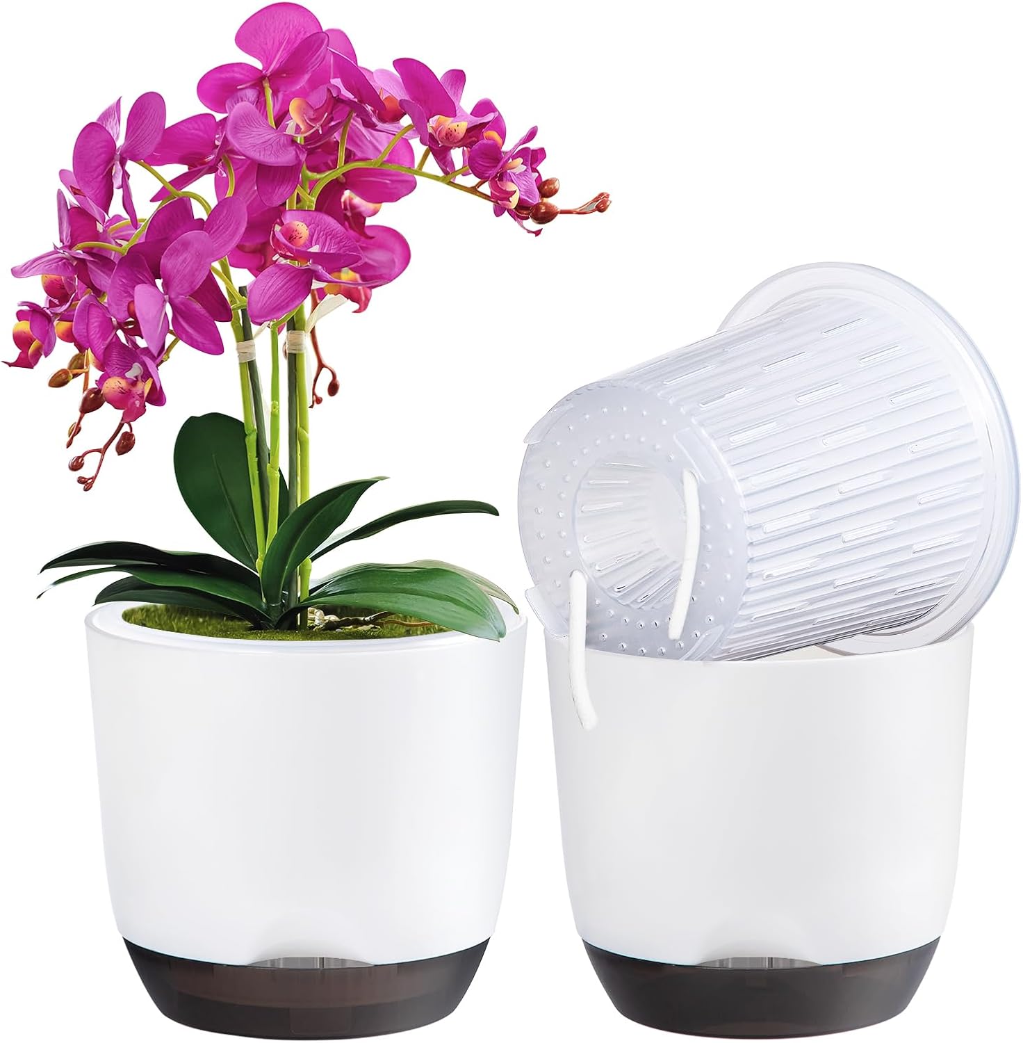 Thumbnail 6 de QCQHDU 2 Pack orchid pots 5.8 inch