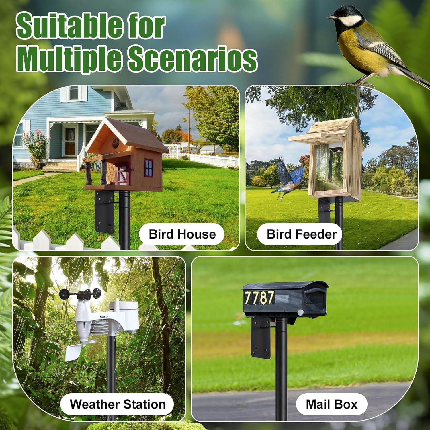 Detalle de DEROFIT 25niaowoZJ-DZK-MSH-7jie Bird Feeder Pole Kit, 88" Adjustable
