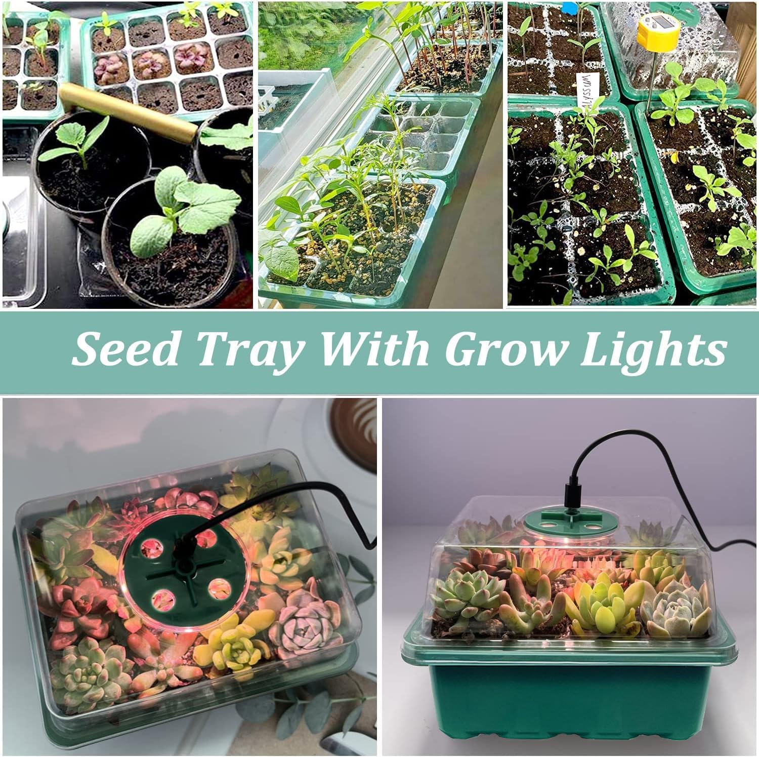 Thumbnail 6 de VDYXEW seed tray propagator with lights