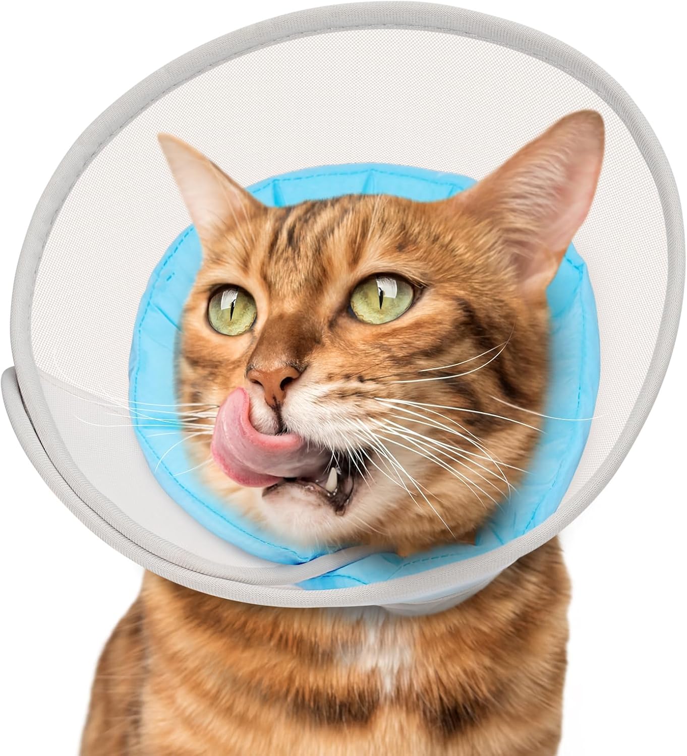 Thumbnail 6 de Supet Cat Cone Collar Soft (Light Purple, M) – soft, waterproof recovery cone for post-surgery licking control