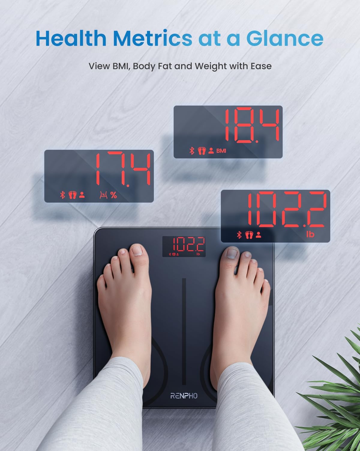 Detalle 2 de RENPHO Elis 1 Balance connectée Bluetooth 180 kg ⚖