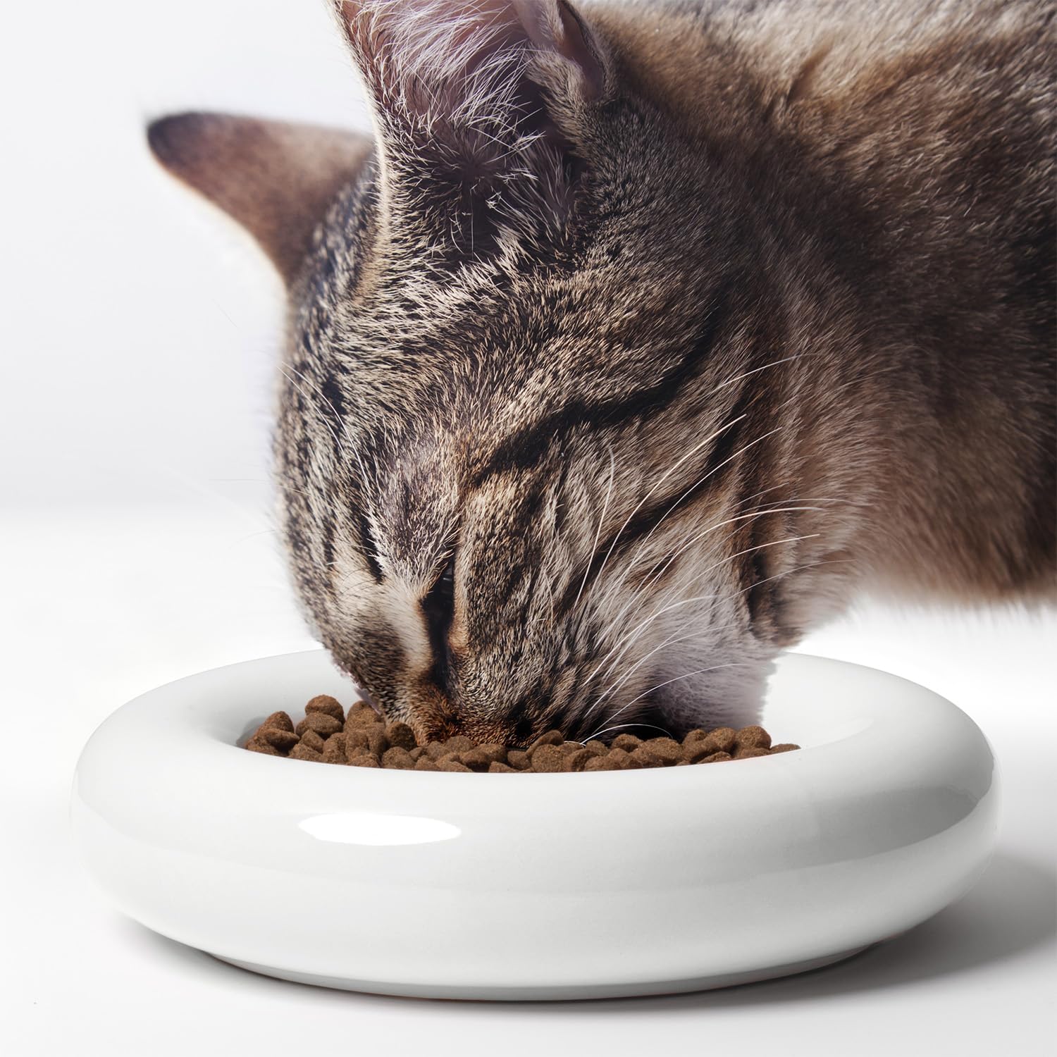 Thumbnail 6 de CatGuru Torus – zestaw dwóch płytkich misek ceramicznych dla kota, różowy