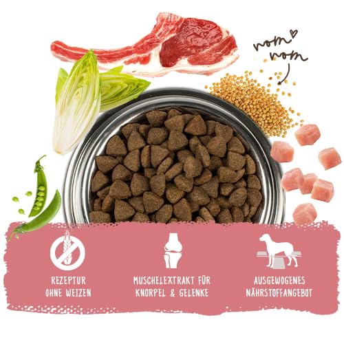 Detalle de bosch HPC Adult mit Lamm & Reis – Trockenfutter für ausgewachsene Hunde aller Rassen (1 x 15 kg)