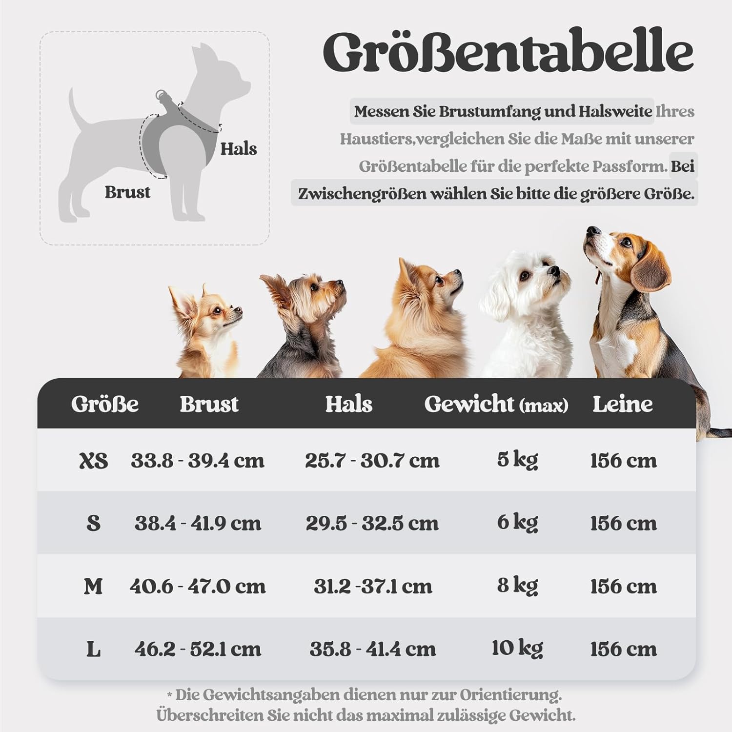 Detalle 2 de Rabbitgoo Hundegeschirr S mit Leine 1,56 m