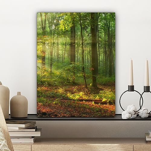 Thumbnail 4 de MuchoWow Impression toile 30x40 cm Forêt 🎨