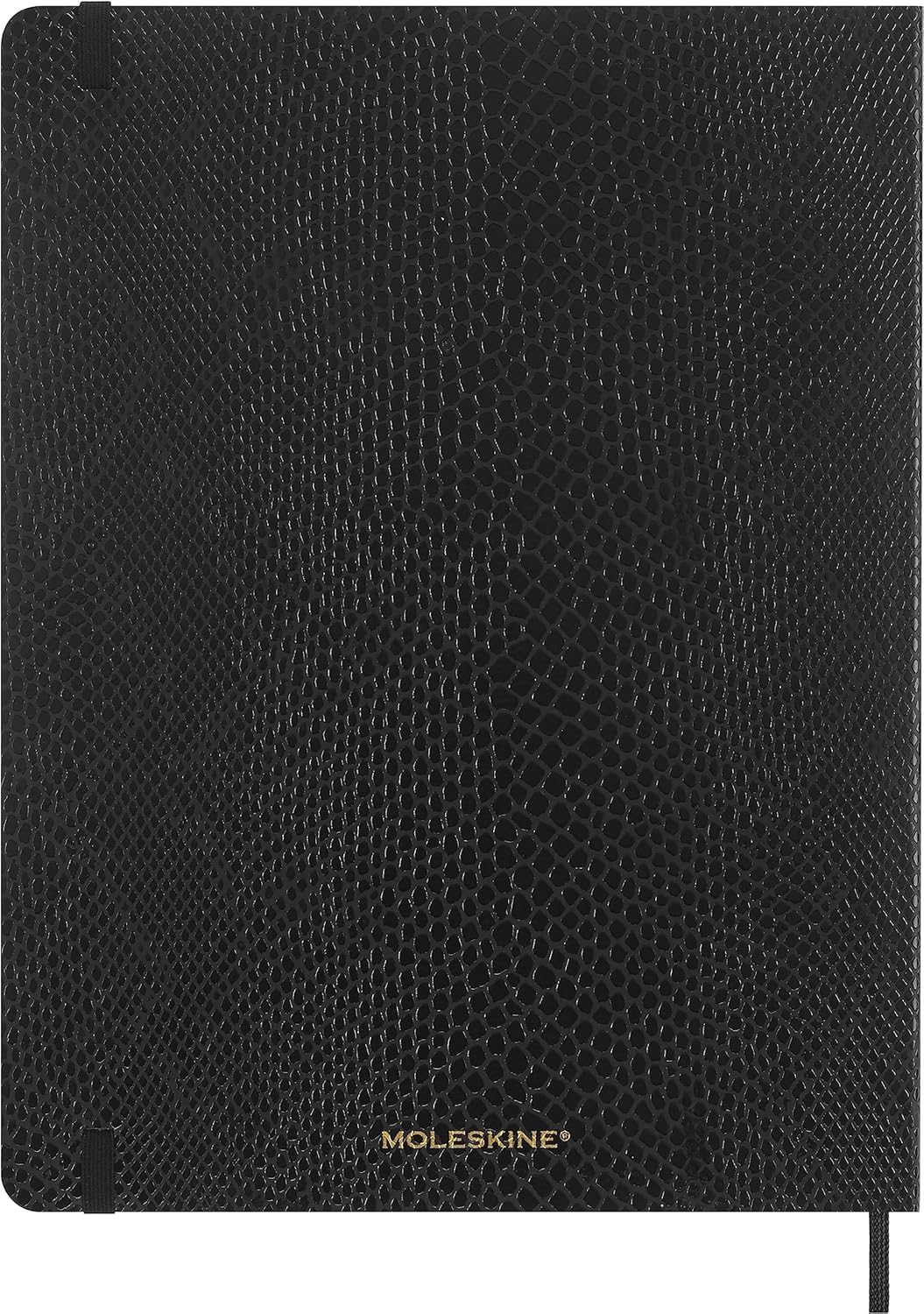 Thumbnail 6 de Moleskine Precious & Ethical anteckningsbok XL 19 x 25 cm, svart veganskt omslag