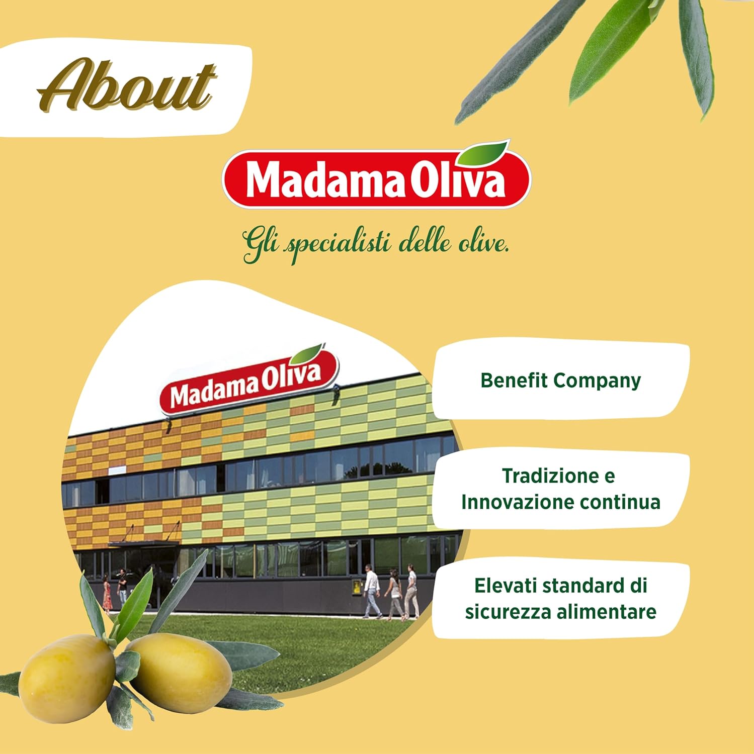 Thumbnail 5 de MADAMA OLIVA Lupini Sgusciati 60 g – Snack proteico, pratico e Made in Italy