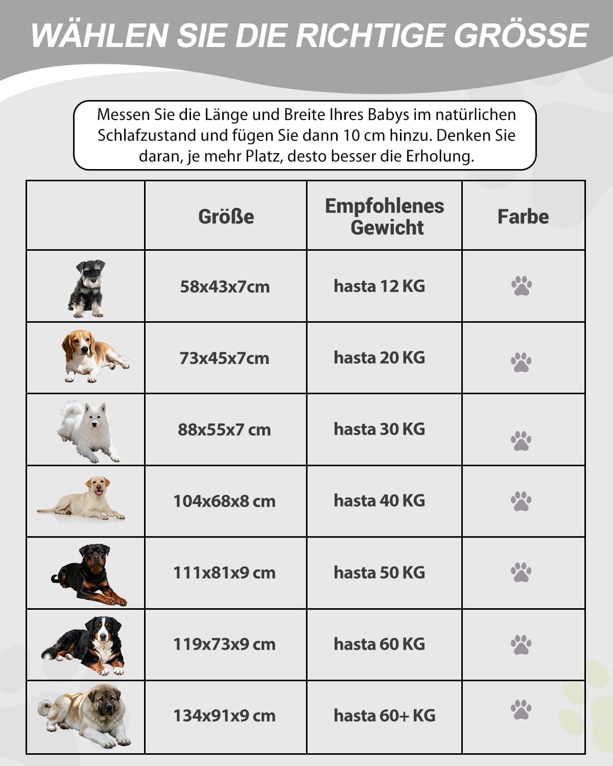 Thumbnail 6 de Favodormir Orthopädisches Hundebett 88x55 cm
