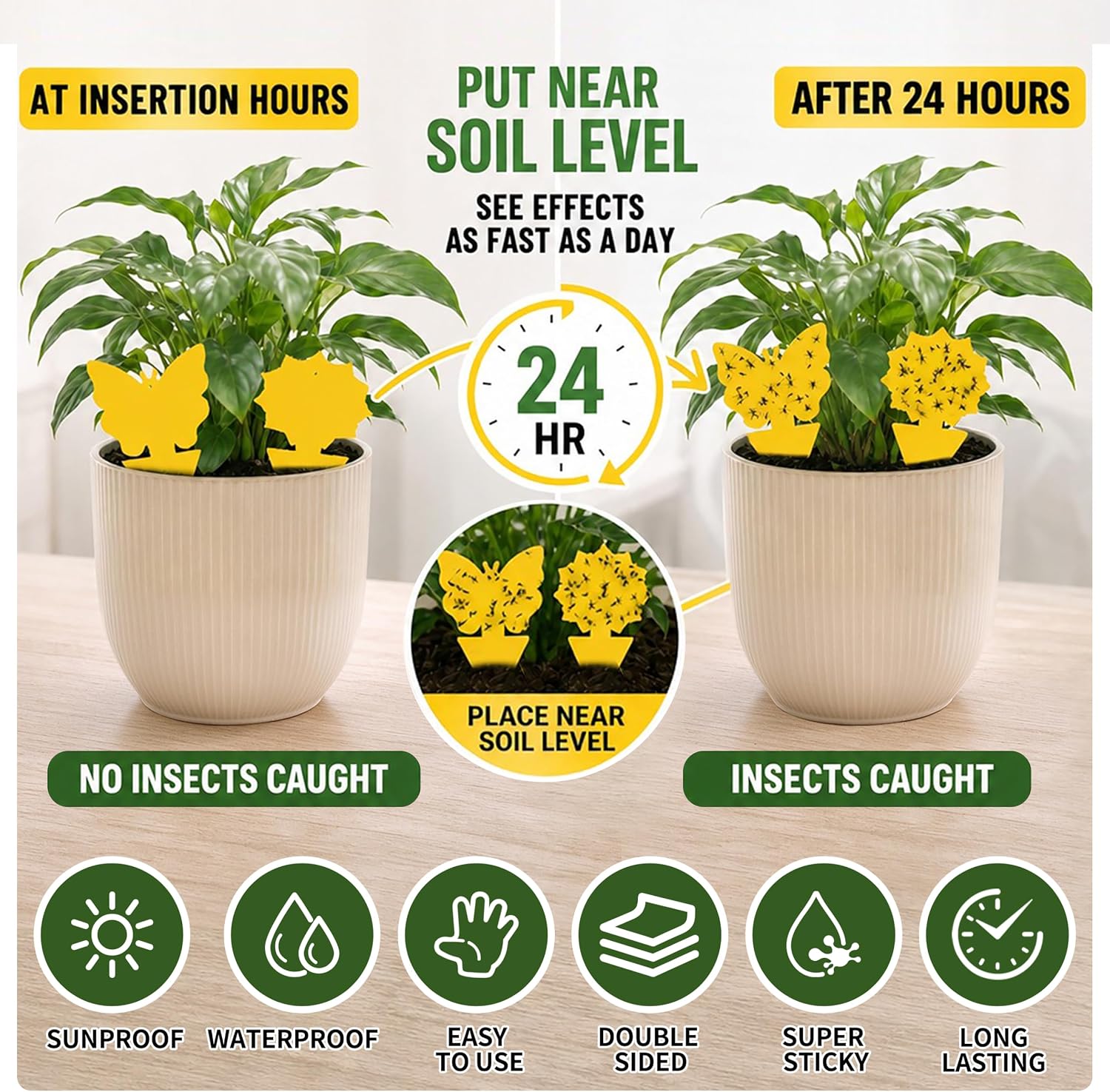 Thumbnail 3 de Cleanuper Sticky Gnat Traps, 58-Pack
