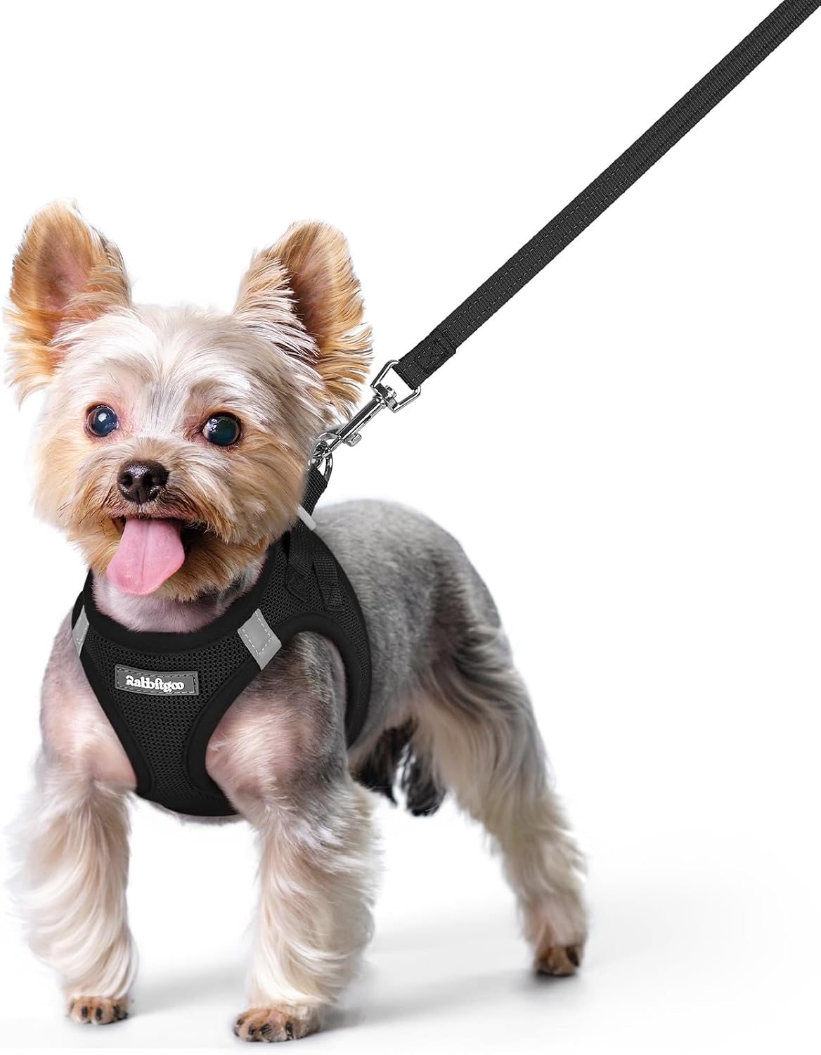 Detalle de Rabbitgoo Step-in Welpengeschirr für Kleine Hunde mit Leine – atmungsaktives Mesh, reflektierend, XS