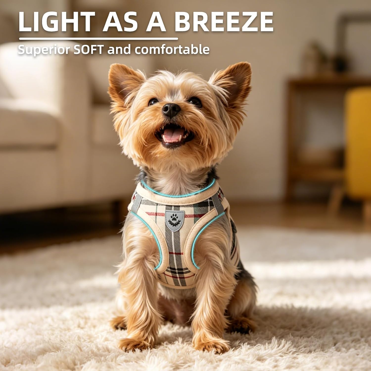Thumbnail 2 de PUPTECK Dog Harness Set, Size S