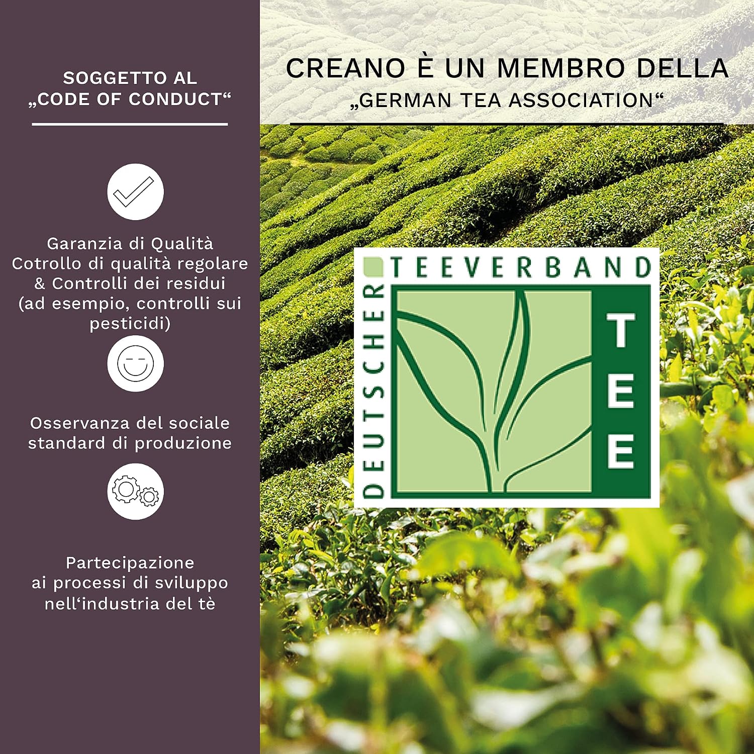 Thumbnail 4 de Creano 36 Fiori di tè in formato tazza