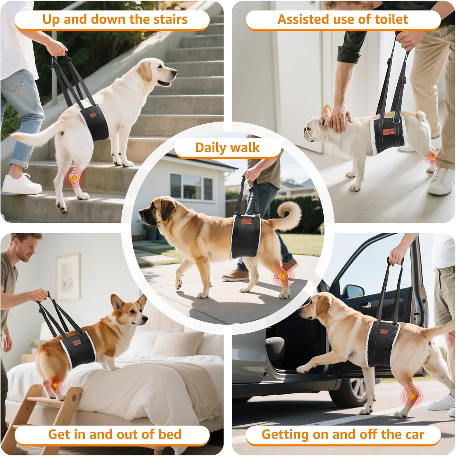 Detalle 2 de Large Dog Mobility Aids Support Sling for Hind Legs