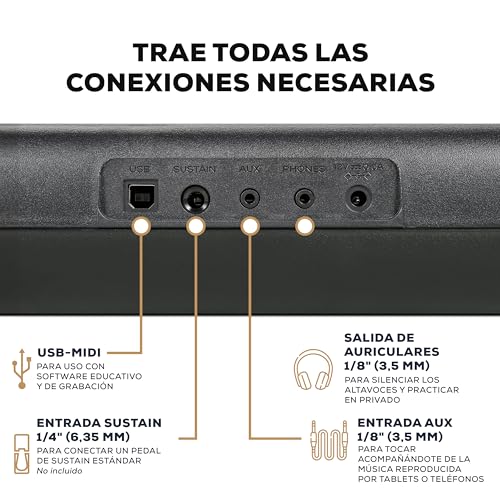 Thumbnail 6 de Alesis Melody 61 MK4: Teclado de 61 teclas con accesorios para aprender piano