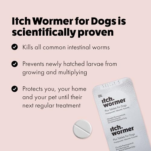 Detalle de Itch X Large Dog Wormer Tablets for Dogs 20kg+ - 2 Tablets