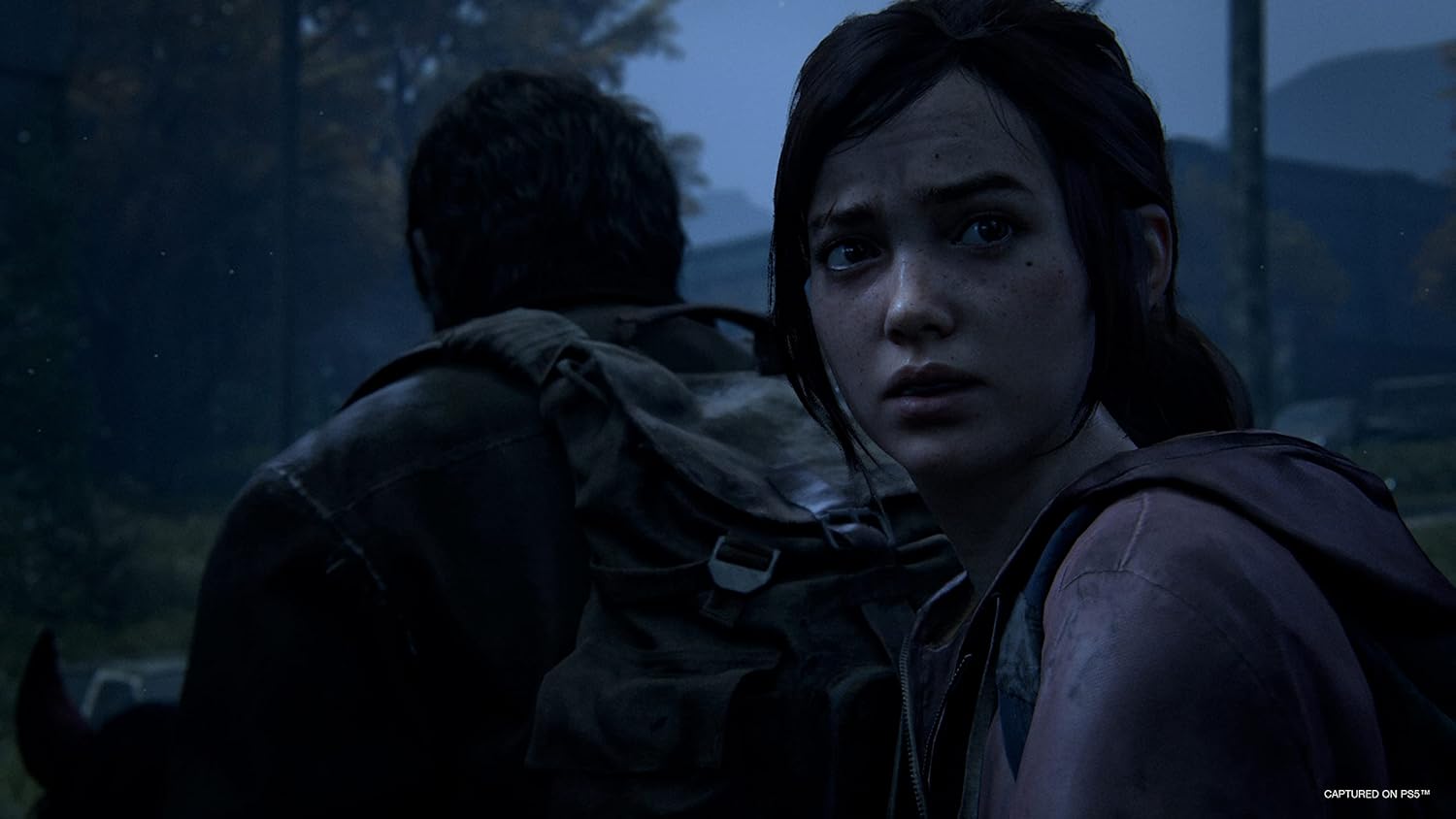 Detalle de PlayStation The Last of Us Parte I PS5
