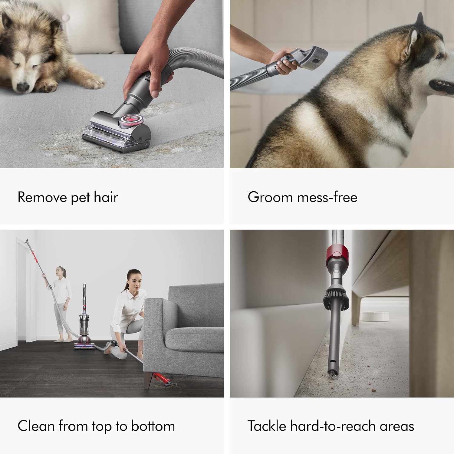 Detalle de Dyson Ball Animal 3 Extra Corded Upright Vacuum with Pet Tools