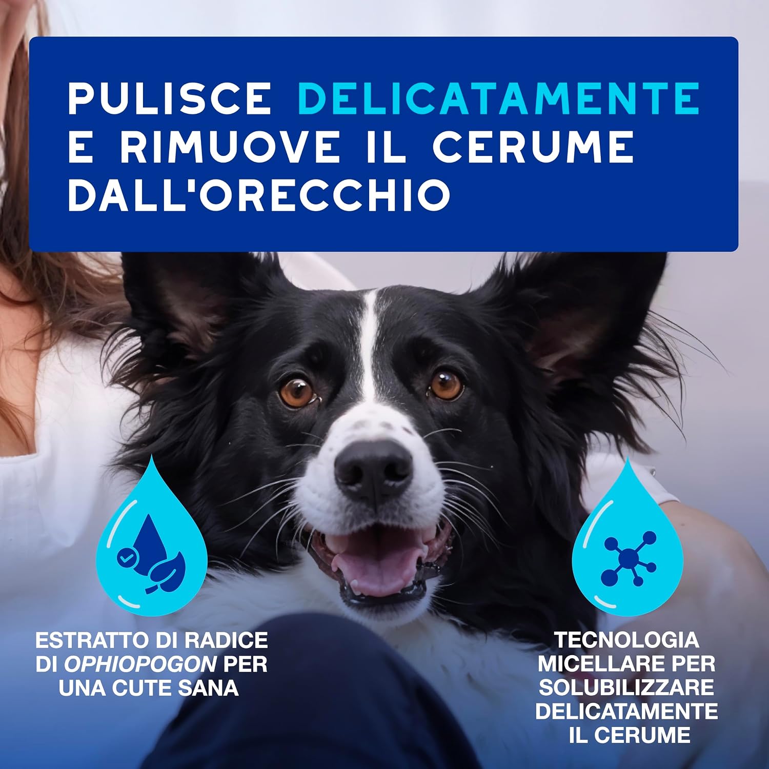 Detalle 2 de DOUXO Skin & Coat SPA detergente orecchie 120 ml