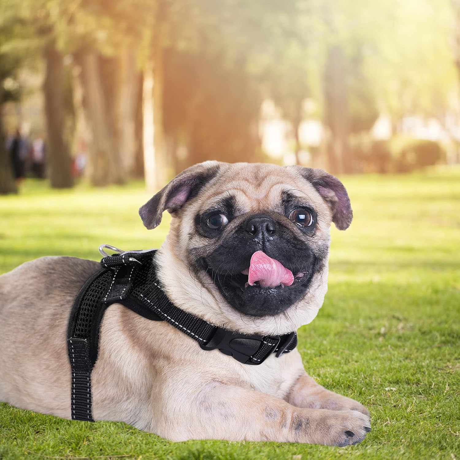 Thumbnail 6 de Adjustable No Pull Puppy Vest Harness XS