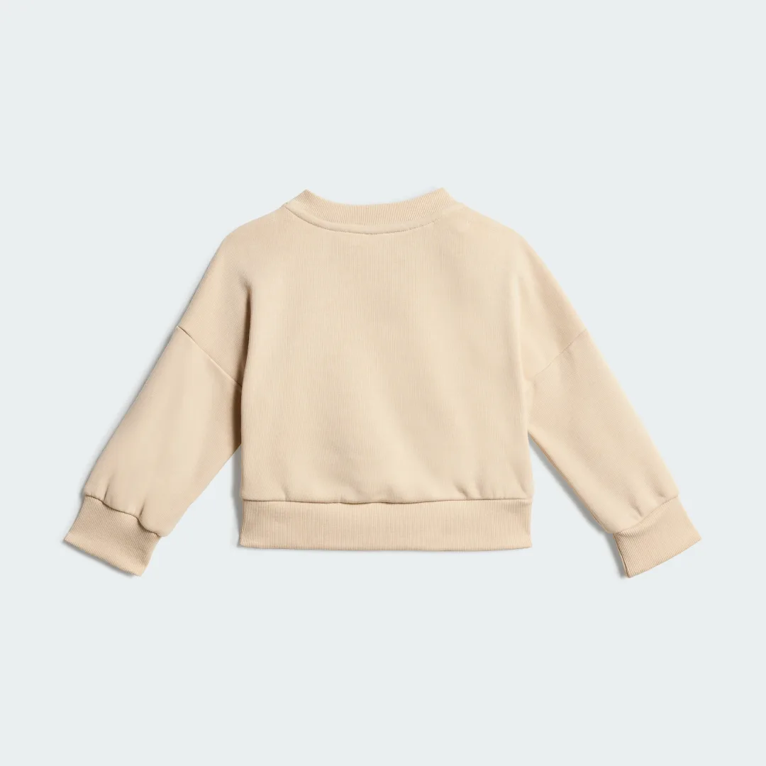 Thumbnail 2 de Conjunto con sudadera Seasonals beige de Adidas: ficha de compra y valoración