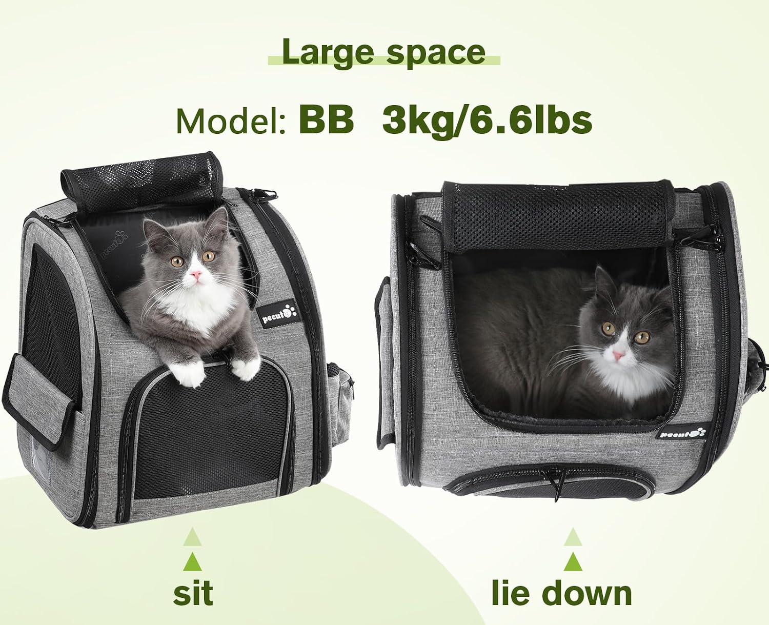 Thumbnail 4 de Pecute Sac à dos de transport pour petit animal