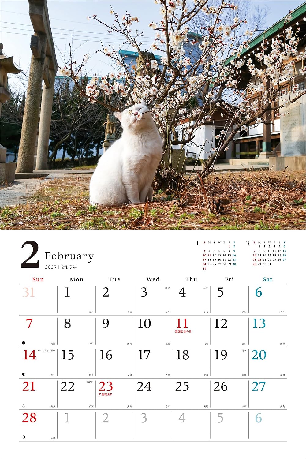 Thumbnail 4 de MdNカレンダー2027 のんびり島ねこ旅カレンダー 壁掛け・月めくり・大判