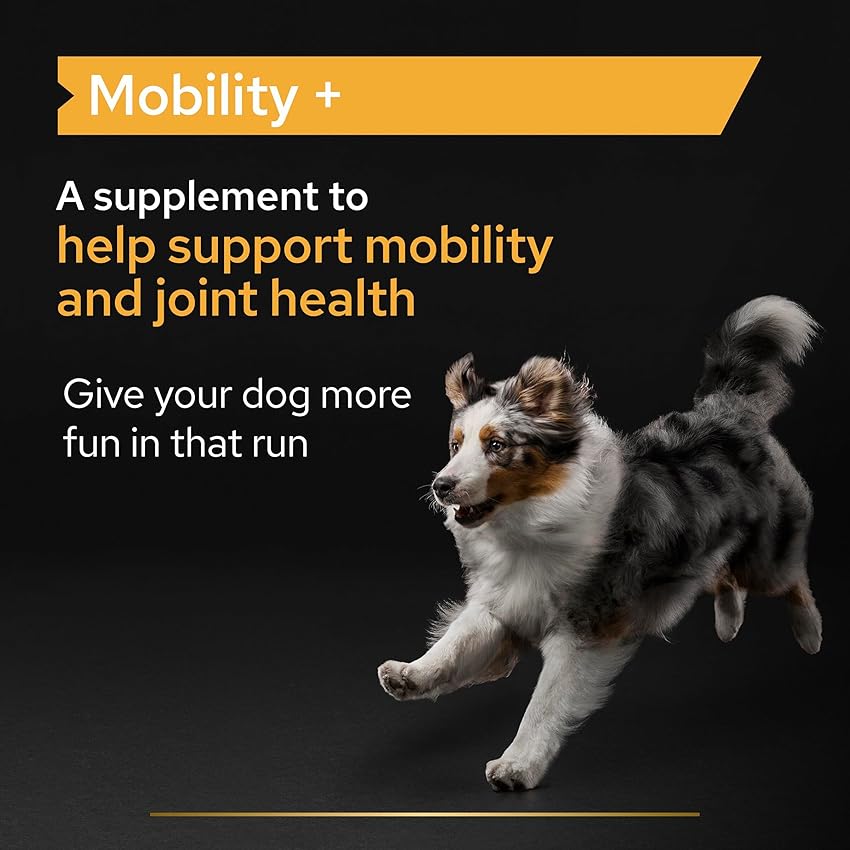 Thumbnail 3 de Purina Pro Plan Mobility+ suplemento 60 g para articulaciones 🐾