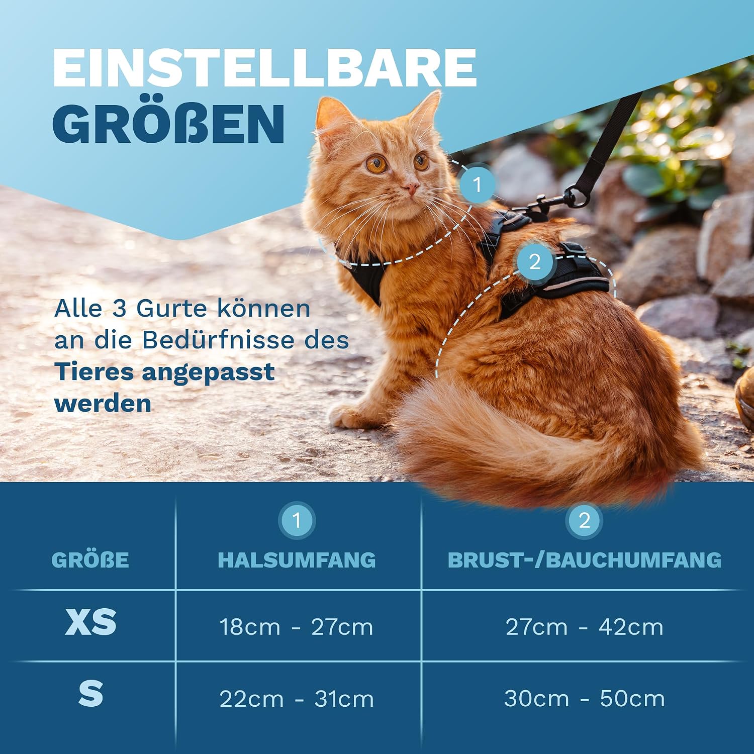 Thumbnail 5 de Pets Perfect Katzengeschirr S đŸ
