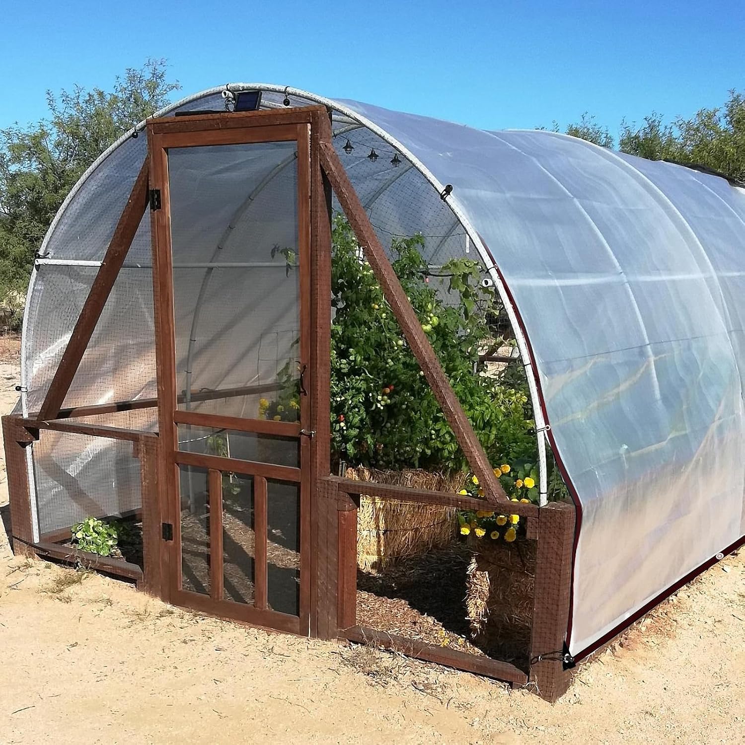 Thumbnail 3 de QOFLY telone impermeabile trasparente con occhielli grandi 98x131 FT (3x4 m)