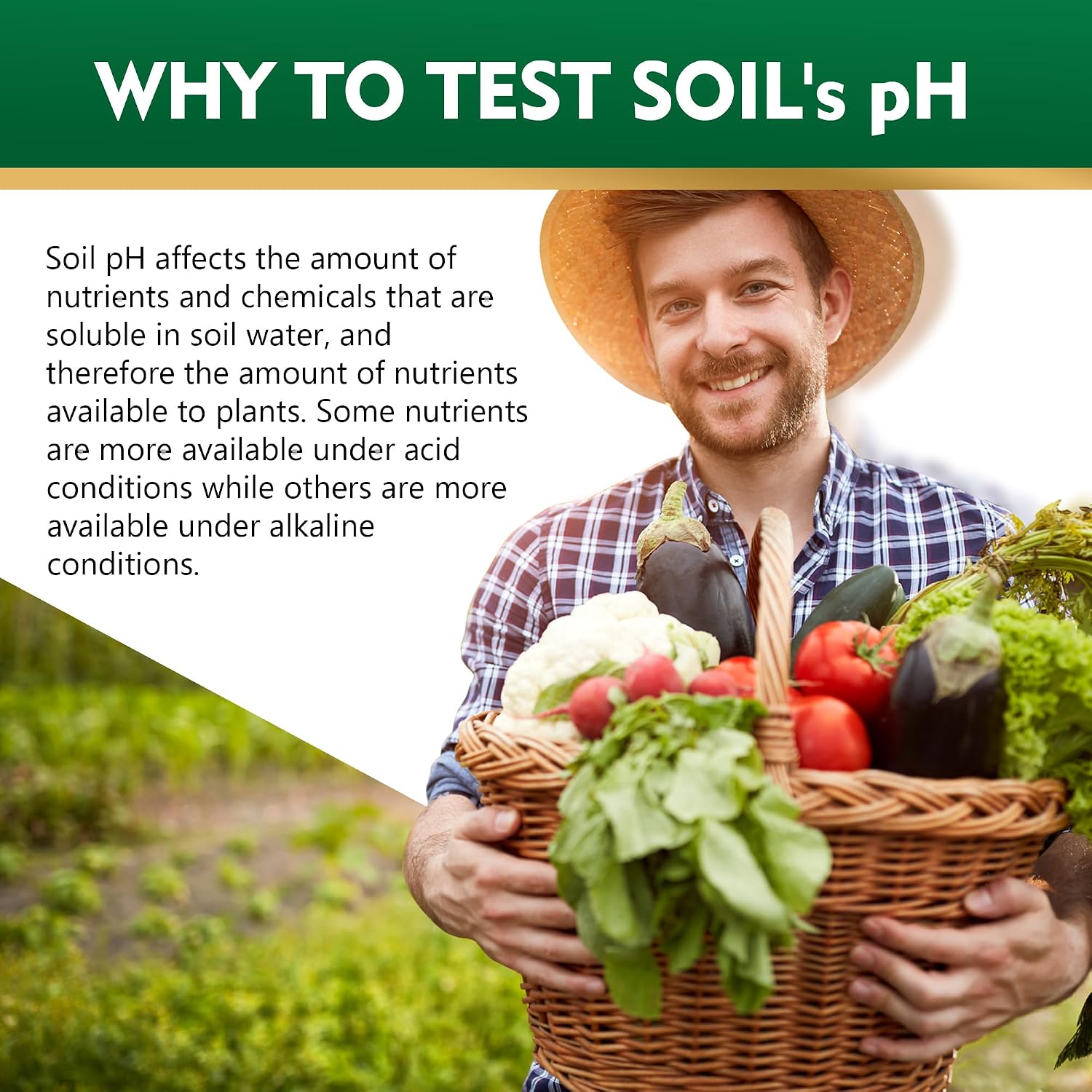 Detalle de Soil pH Test Kit (3-9 Range) – 125 Strips for Quick & Accurate Soil Testing