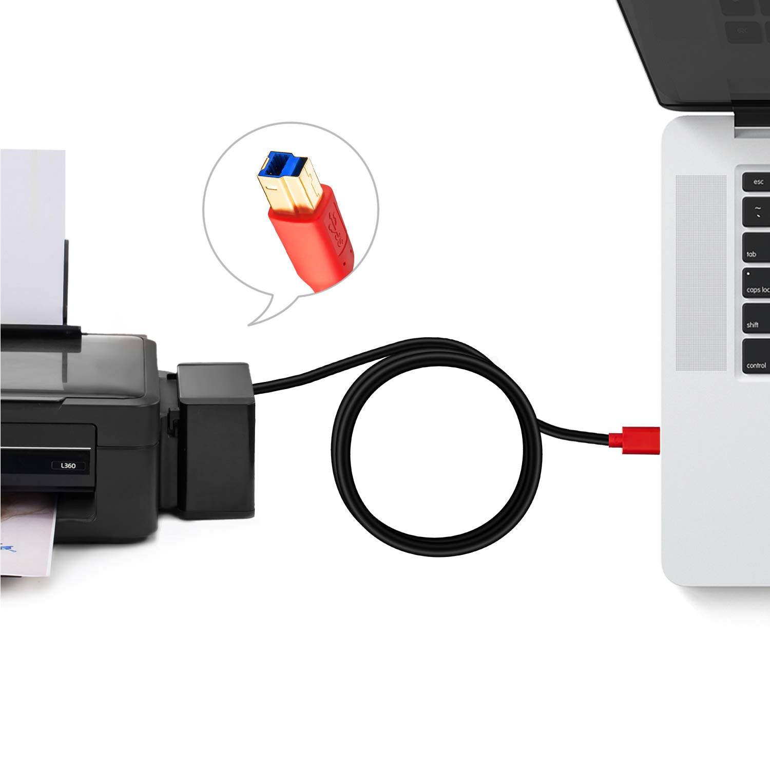 Thumbnail 5 de TanQY USB 3.0 A to B Male Cable (0.5M) – Red