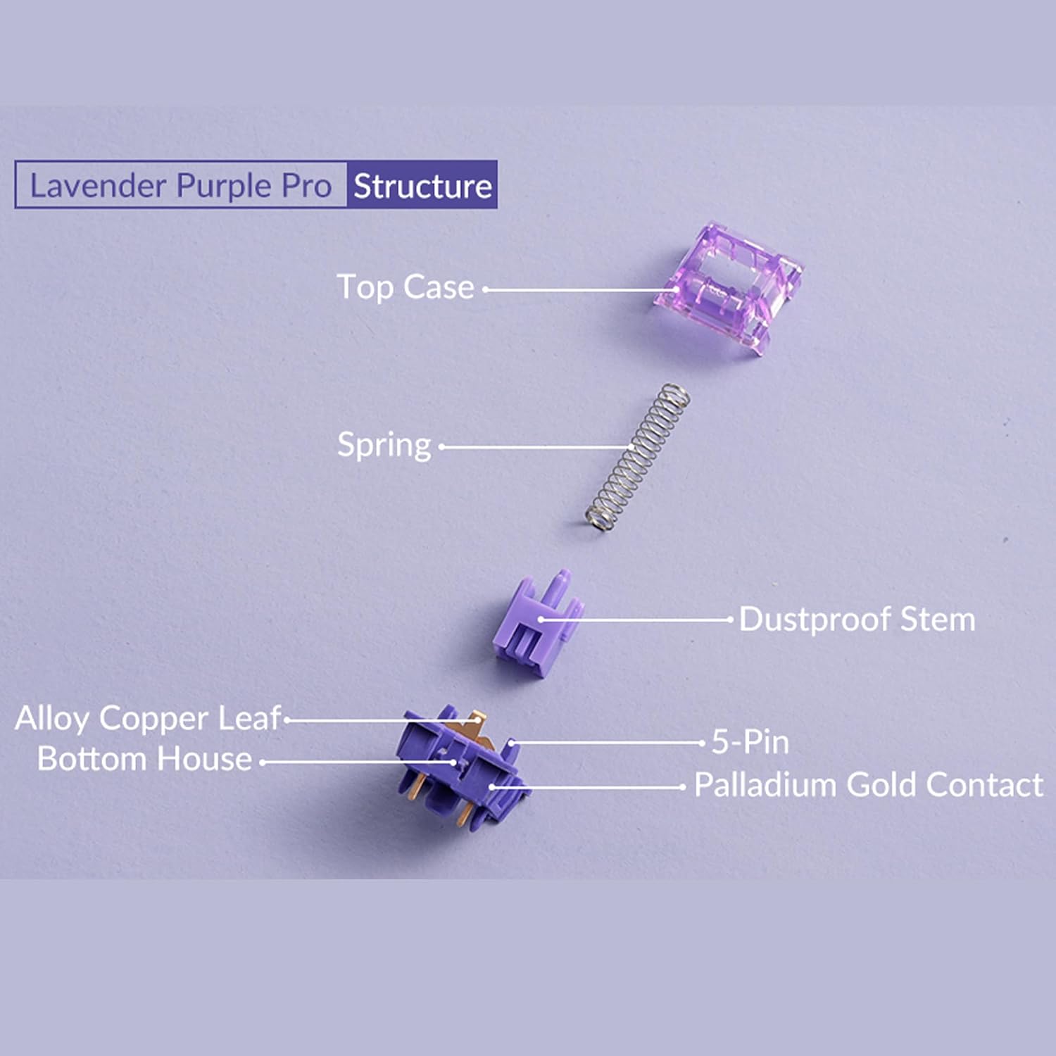 Detalle de Akko V3 Pro Lavender Purple 45pcs tactile switches