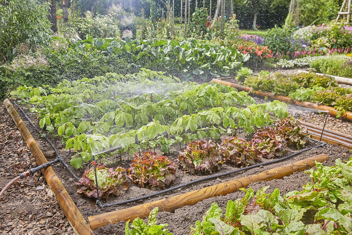 Thumbnail 2 de Gardena 13450-20 kit micro-irrigation goutte à goutte 60 m²