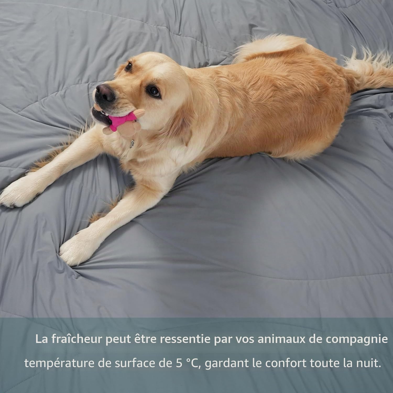 Thumbnail 6 de AccuratEX Couverture rafraîchissante Arc-Chill 140x200 cm, tissu Ammoniak gris