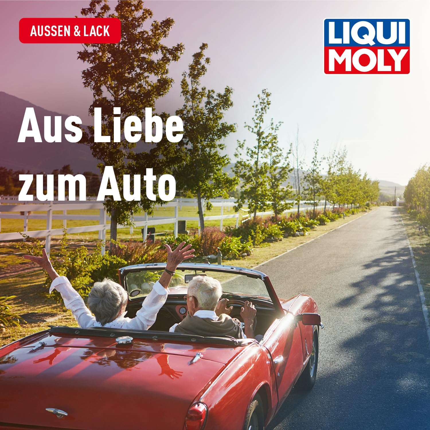 Thumbnail 5 de LIQUI MOLY Cabrioverdeckreiniger – 500 ml, verlässlich gegen Verwitterung für Stoff- und Kunststoff-Verdecke