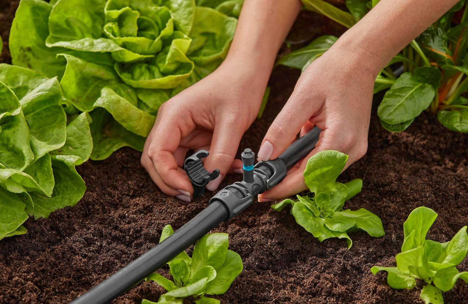 Thumbnail 6 de GARDENA Micro-Drip-System T-Stück für Sprühdüsen (13206-20) – Verbindung für 13-mm-Rohre und Sprühdüsen