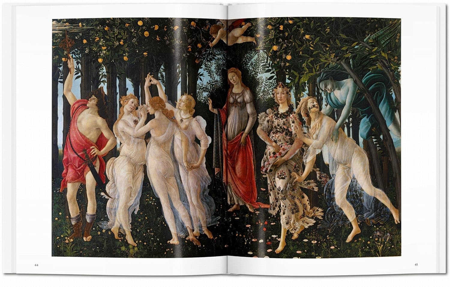Detalle de Botticelli: The Evocative Quality of Line – książka o sztuce i kresce