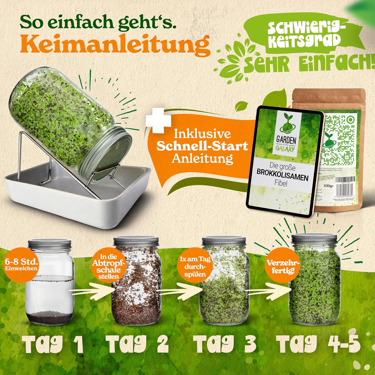 Thumbnail 4 de Brokkoli Samen Bio [500 g] – Hoch Sulforaphan-Gehalt aus Brassica rapa sylvestris, direkt aus Italien